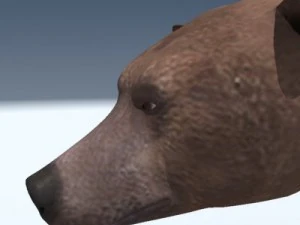 orso grizzly Modello 3D