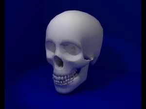 skelet head Modèle 3D