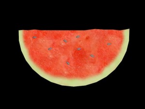 watermelon sandia 3D Model