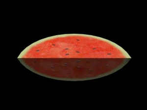 sandia de melancia Modelo 3D