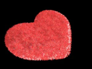 corazon heart 3D Model