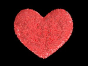 corazon heart 3D Model