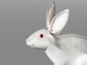 rabbit rigid Model 3D