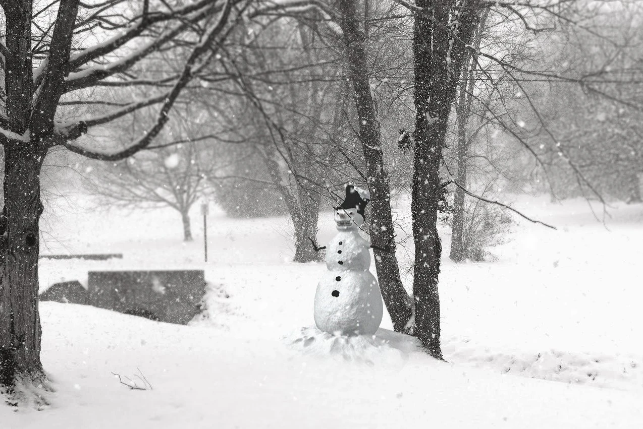 snowman creepy 3D Model .c4d .max .obj .3ds .fbx .stl .blend 