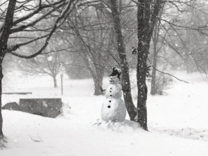 muñeco de nieve espeluznante Modelo 3D