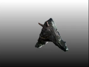 sea creature 3D Model