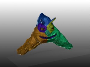 sea creature Model 3D