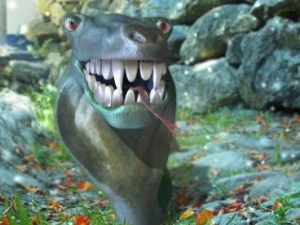 snake  lenny the snake 3D Model
