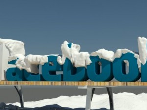 social media winter logos 3D 模型