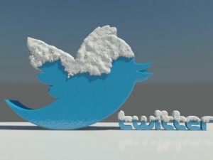 social media winter logos 3D 模型