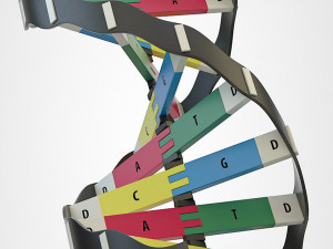 dna model 3D Модель