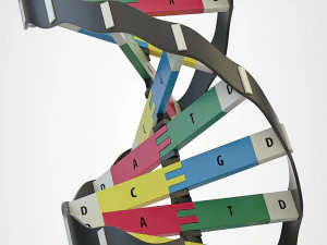 dna model 3D Model