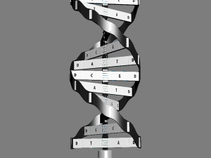dna model 3D Модель