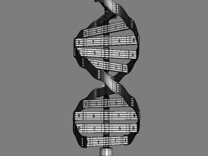 dna model 3D Модель