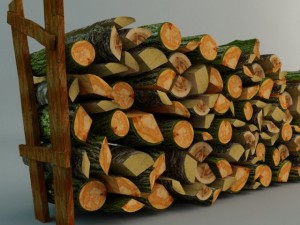 old woods Modelo 3D