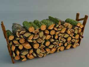 old woods 3D Model