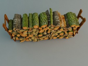 old woods 3D Model