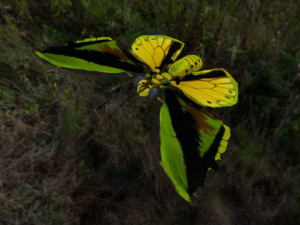 goliath Model 3D