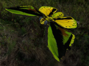 goliath Model 3D