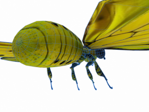 goliath Model 3D