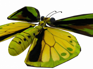goliath Model 3D