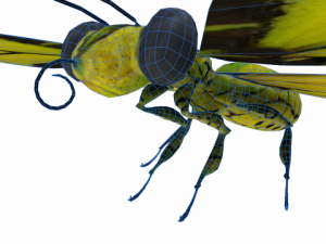 goliath Model 3D