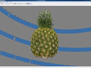 imperial pineapple 3d scan 3D 模型