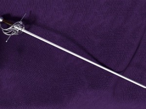 rapier Model 3D