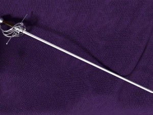rapier 3D Model