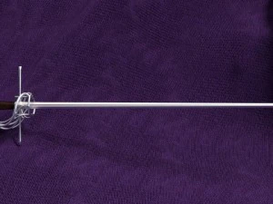 rapier 3D Model