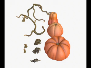 cartoon pumpkins 3D Model
