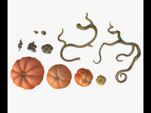 cartoon pumpkins 3D Model