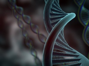 dna 3D Model