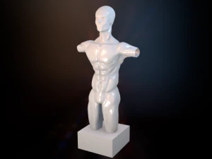 torso masculino Modelo 3D