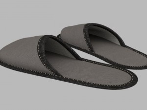 home slippers 3D Model