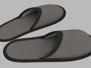 home slippers 3D Model