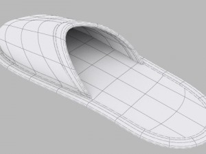 home slippers 3D Model