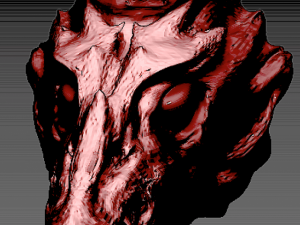 dragon 3D Model