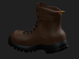 shoes 3D Model