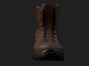shoes 3D Model
