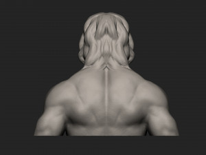 zeus Modèle 3D