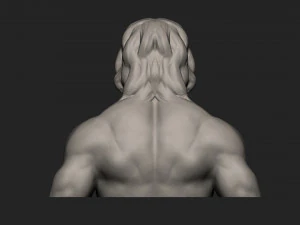 zeus 3D Model
