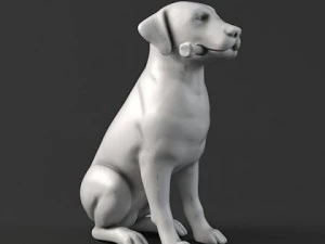 50 sculpture collection 3D Model