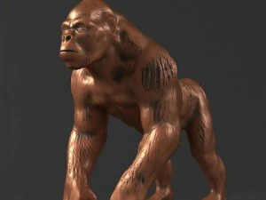 50 sculpture collection 3D Model