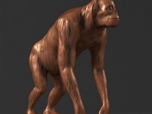 50 sculpture collection 3D मॉडल