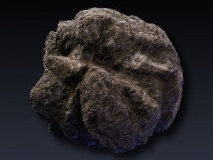 rock collection 01 3D Model
