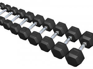Dumbbell 3D 모델