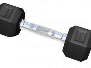Dumbbell 3D 모델