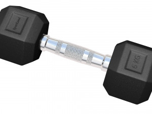 Dumbbell 3D 모델