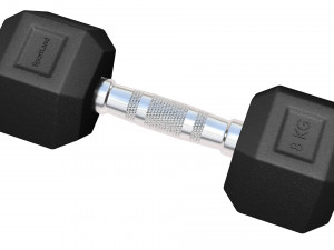 Dumbbell 3D 모델